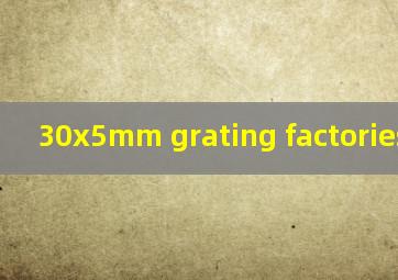  30x5mm grating factories